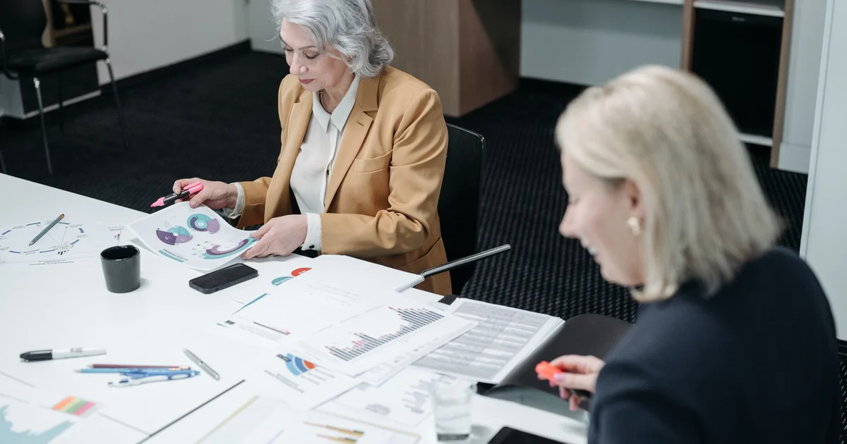 Senior accounting professionals reviewing public-sector financial statements